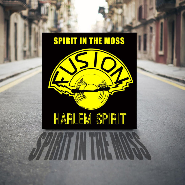 Harlem Spirit Photo