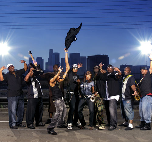 Wylde Bunch Photo