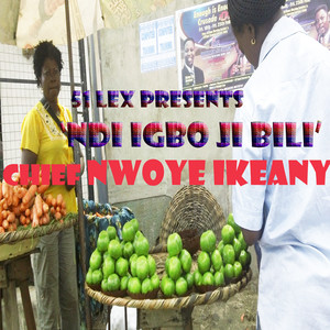 Chief Nwoye Ikeanyi