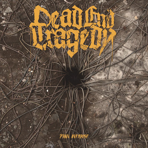 Dead End Tragedy Photo