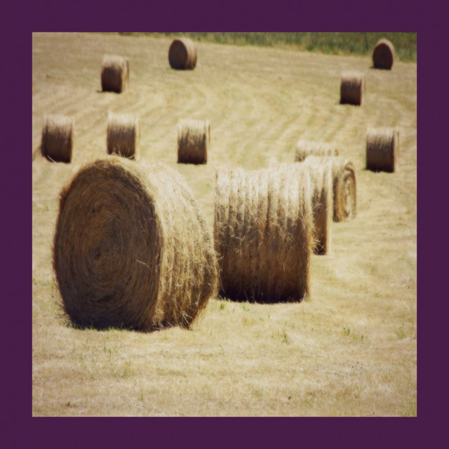 Happy Compilation, Vol. 11 Albumcover