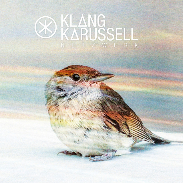 Netzwerk cover