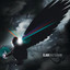 Grey Crow (Deluxe Version) cover