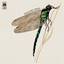Dragonfly cover