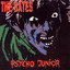 Psycho Junior cover