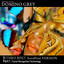 Butterfly Affect Part I Europrint Version Albumcover
