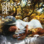 The Sea cover