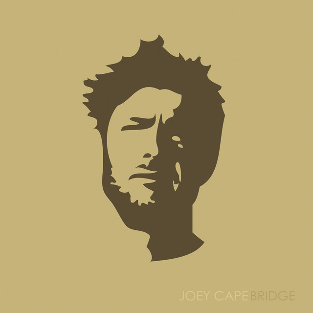 Bridge cover