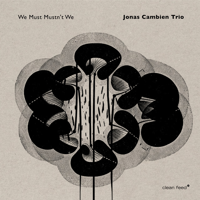 Jonas Cambien Trio Photo