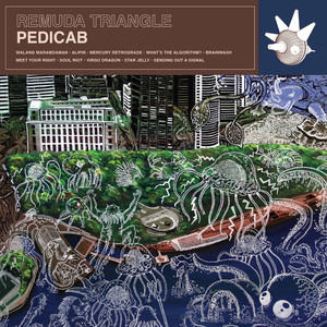 Remuda Triangle cover