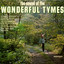 The Sound Of The Wonderful Tymes cover