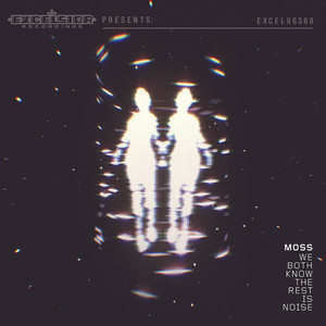 We Both Know the Rest Is Noise cover