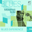 Blues Experience, Vol. 19 cover