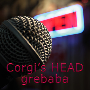 Corgis HEAD grebaba