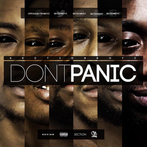 Don't Panic cover