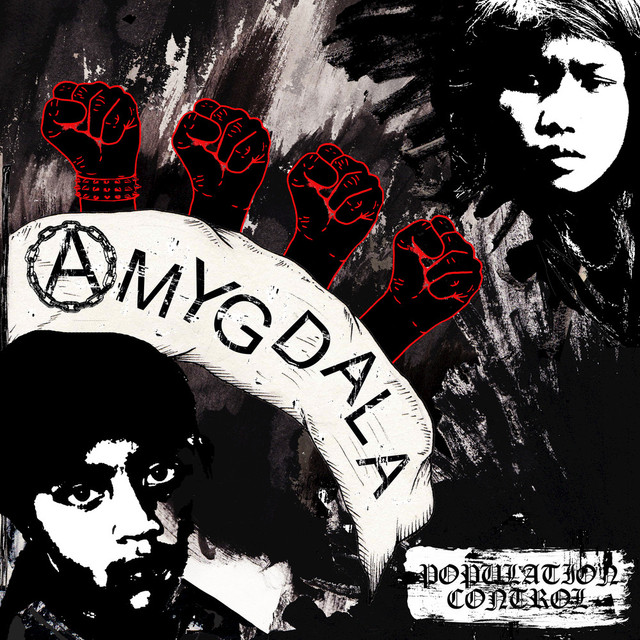 Amygdala photo