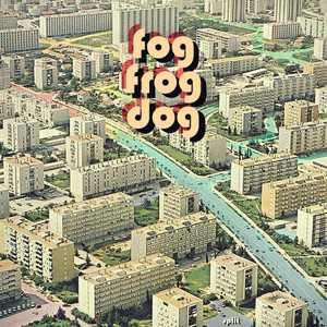 Fog Frog Dog Photo