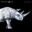 Albino Rhino Albumcover