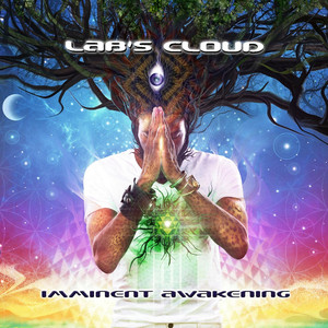 Imminent Awakening cover