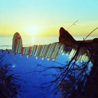 Dawn Chorus Ignites Photo