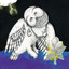 The Magnolia Electric Co. cover