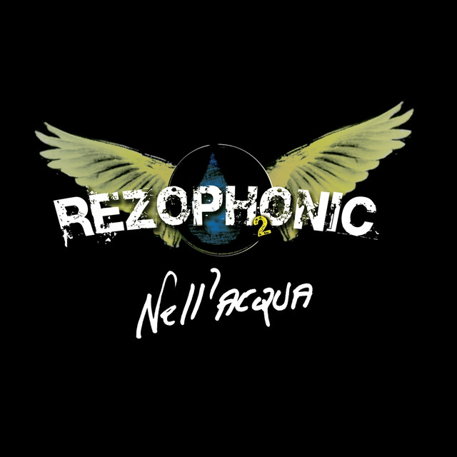 Nell'acqua cover