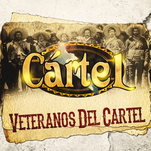 Veteranos del cartel cover