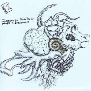 Shearwater Is Enron cover