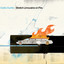 Stretch Limousine on Fire cover