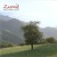 Zumie' Albumcover
