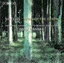 Sibelius: Song of the Earth / Hymn of the Earth cover
