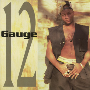 12 Gauge cover