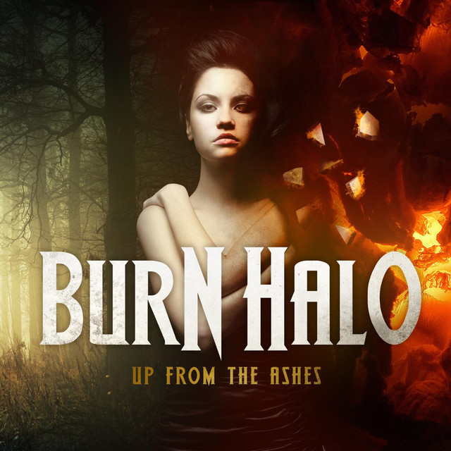 Up From The Ashes cover