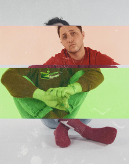 Prince Fox Photo
