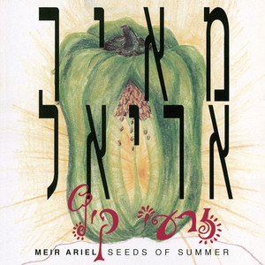 זרעי קיץ cover