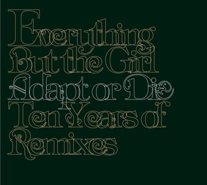 Adapt or Die: Ten Years of Remixes album