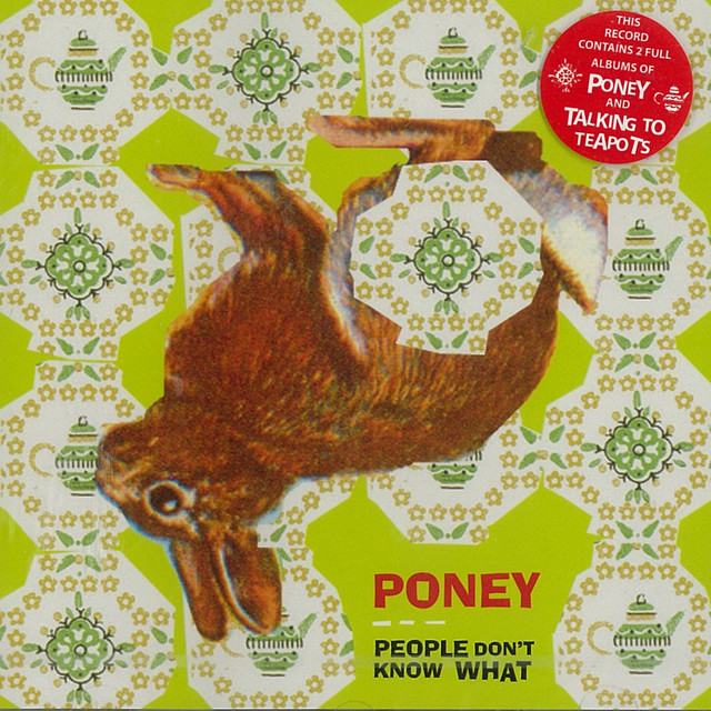 Poney Poney Photo
