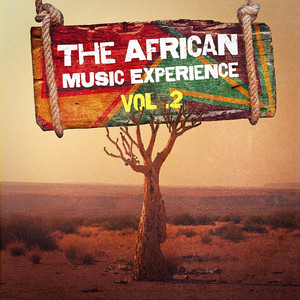 The African Music Experience, Vol. 2 album