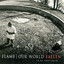 Our World Fallen cover