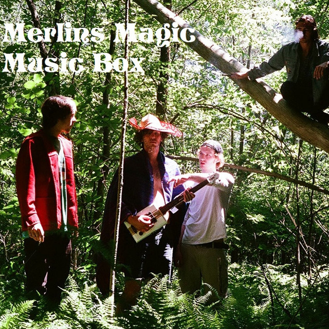 Merlin’s Magic Photo