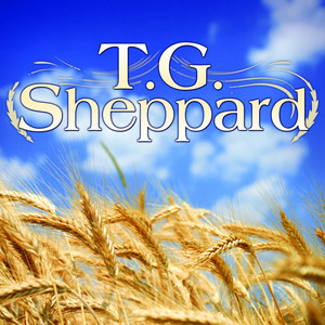 T.G. Sheppard album