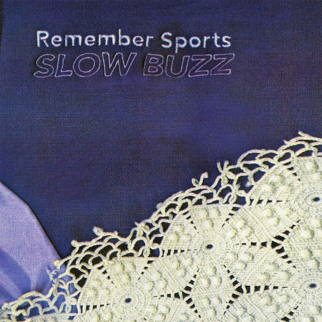Slow Buzz cover