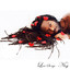 Love Songs Albumcover