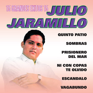 15 Grandes Exitos cover