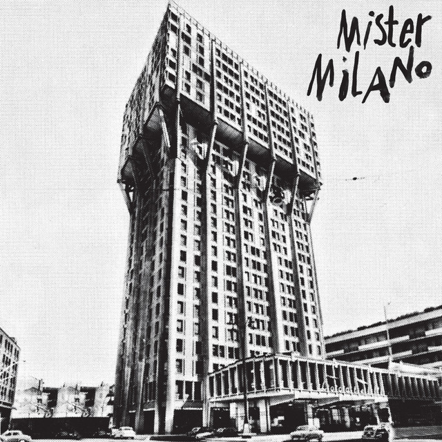 Mister Milano Photo