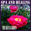 Spa and Healing Albumcover