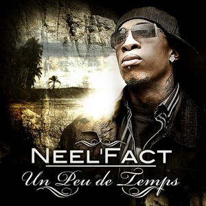 Neel Fact