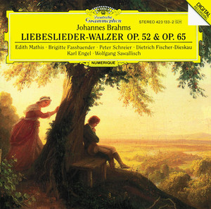 Liebeslieder-Walzer cover