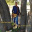 In the Country Albumcover