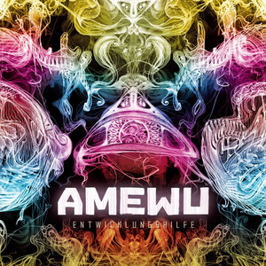 Entwicklungshilfe cover
